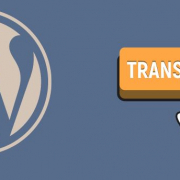 vertaal plugin WordPress site vertalen Google translate wp plugins